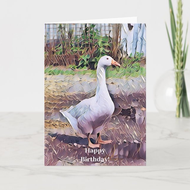 GEESE KORT (Framsida)