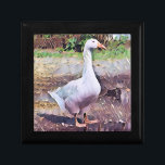 GEESE MINNESASK<br><div class="desc">En konst av en tama gås.</div>