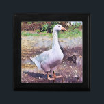 GEESE MINNESASK<br><div class="desc">En konst av en tama gås.</div>