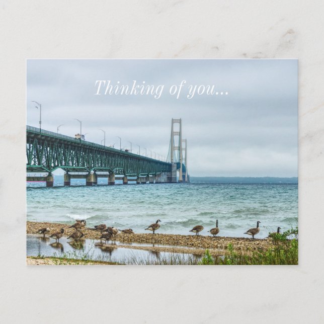 Geese på Mighty Mac som tänker på dig Vykort (Framsida)