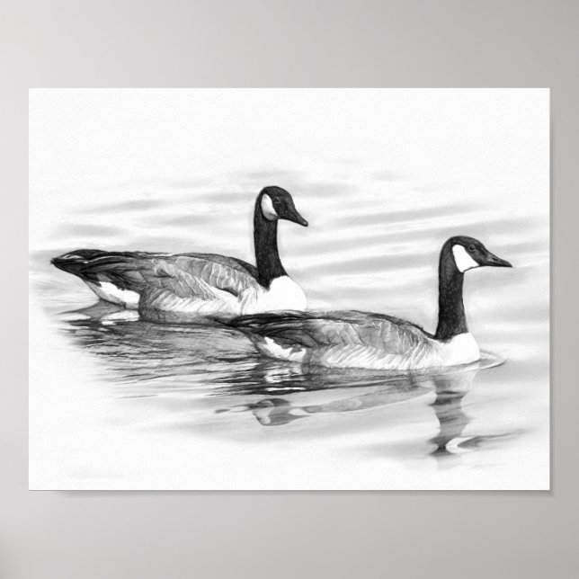Geese på Vatten Poster (Framsidan)
