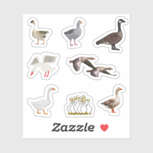Geese Stickers Klistermärken