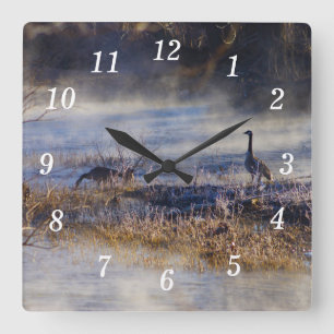 Geese Talking A Break Wall Clock Fyrkantig Klocka