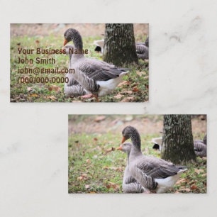 Geese Visitkort