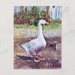 GEESE VYKORT