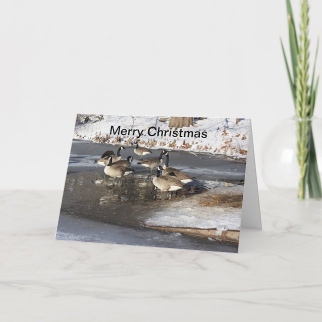 Geese Waiting Helgkort (Framsida)