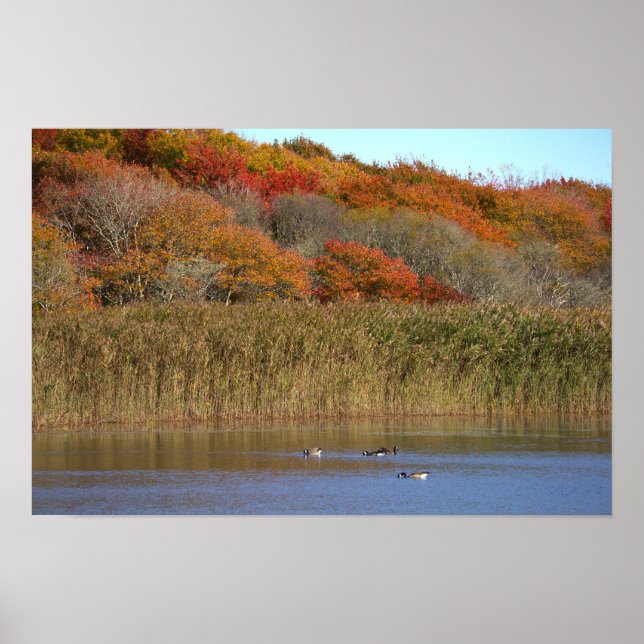 Geese with Autumn Trees Poster (Framsidan)