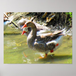 Geeses är flexibla poster