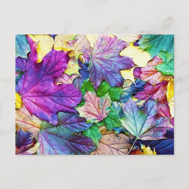 gekleurde blaadjes vykort (Framsida)