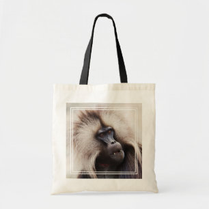 Gelada Baboon, Etiopien Tygkasse