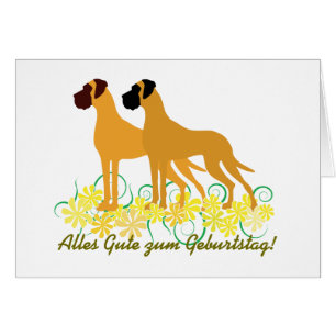 Gelbe Doggen Karte OBS Kort