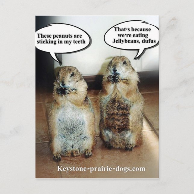 Gelébönor Vykort (Framsida)