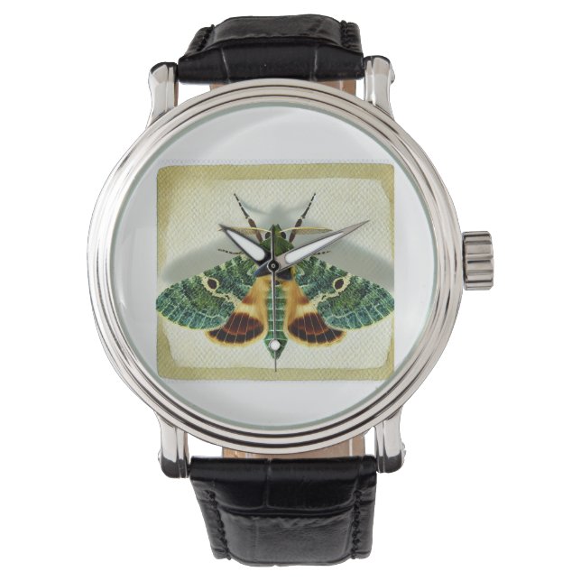 gelechiid moth 220924IREF212 - Watercolor Armbandsur (Framsida)