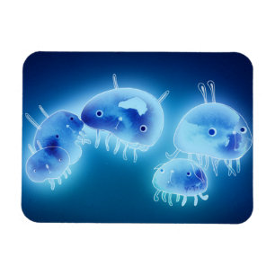 Geléfisk 2013 magnet