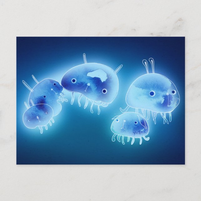 Geléfisk 2013 vykort (Framsida)