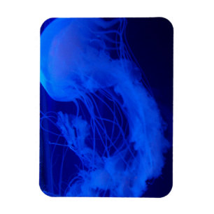 Gelémagnet Magnet