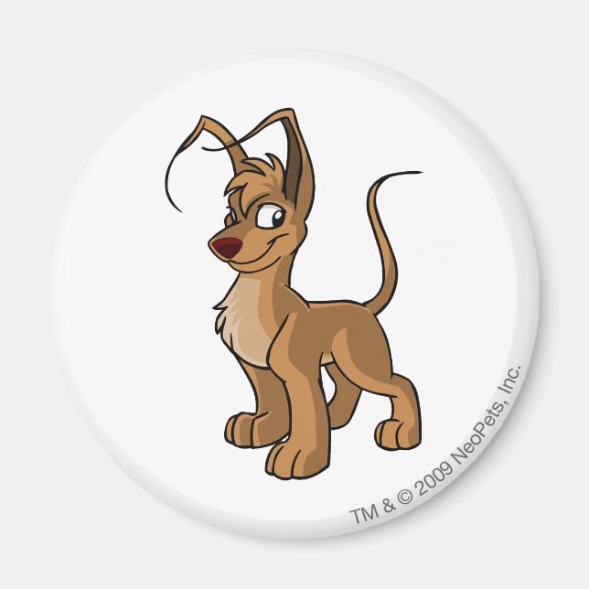 Gelert Brown Magnet (Framsidan)