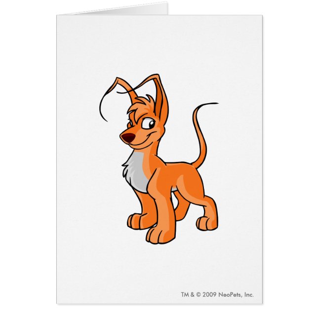 Gelert orange hälsningskort (Framsidan)