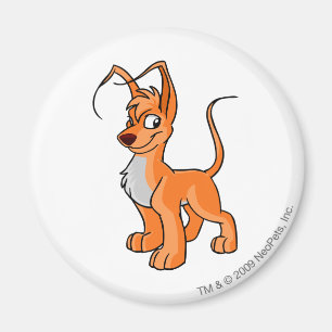 Gelert orange magnet