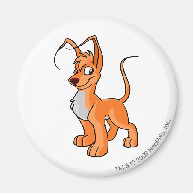 Gelert-Orange Magnet (Framsidan)