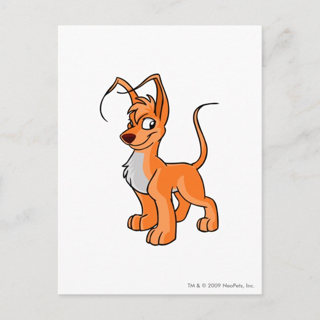 Gelert-Orange Vykort (Framsida)