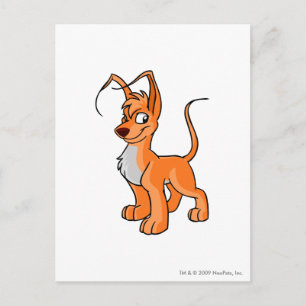 Gelert-Orange Vykort