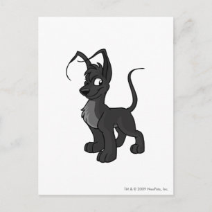 Gelert Shadow Vykort