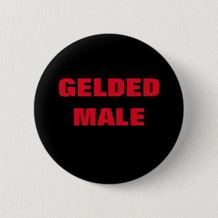 GELTED MALE KNAPP