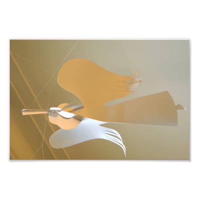 Geltrumpetter Fototryck (Framsidan)