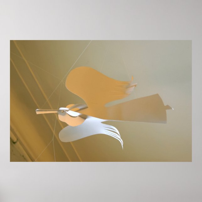 Geltrumpetter Poster (Framsidan)