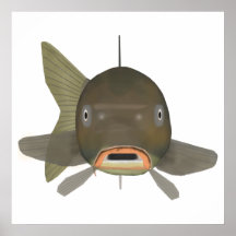 Gemensam karp - fiskhuvud