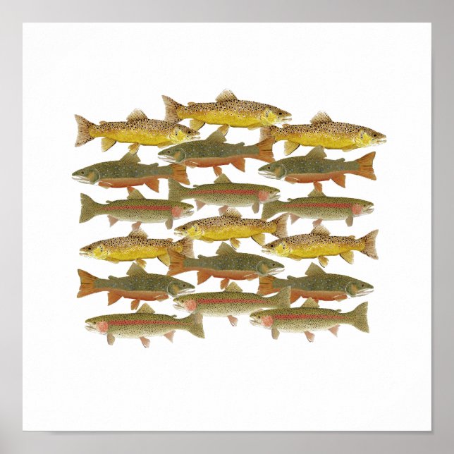 Gemensam regnbåge poster (Framsidan)