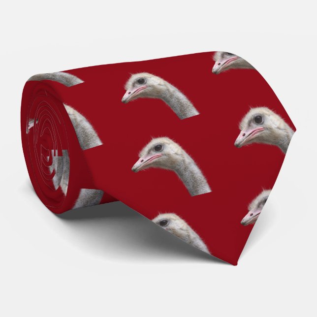 Gemensam struts slips (Rullad)