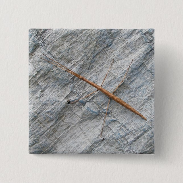 Gemensamma artiklar (Diapheromera femorata) Knapp (Framsida)