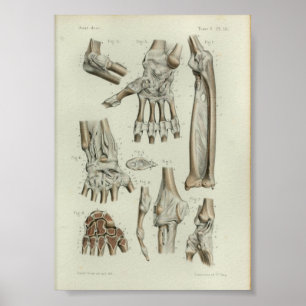 Gemensamma artikuleringar 1844 för poster