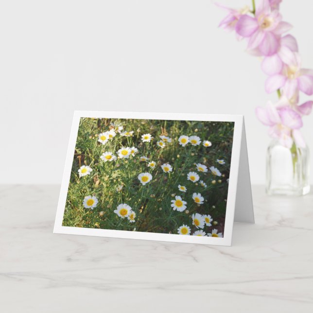 Gemensamma Daisy i gräs Kort (Orkide)