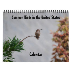 Gemensamma fåglar i den brittiska kalendern Stater Kalender