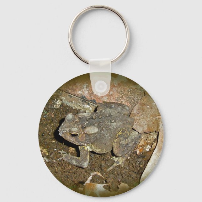 Gemensamma koordinationsobjekt för verktyg nyckelring (Framsida)