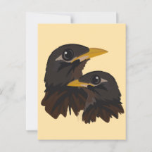 Gemensamma myna-fåglar