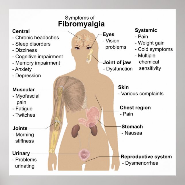 Gemensamma tecken för diagram + symtom Poster fibr (Framsidan)