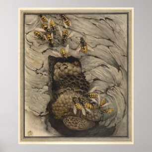 GEMENSAMMA WASPS - Insekt Bok Illustration Poster