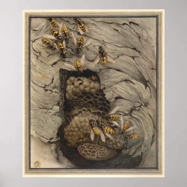 GEMENSAMMA WASPS - Insekt Bok Illustration Poster (Framsidan)