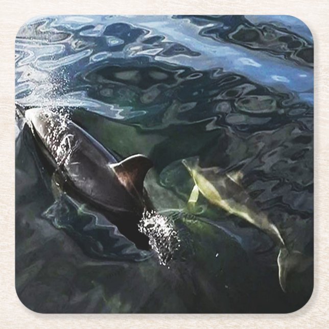 Gemensamt delfiner Morsa och Baby Underlägg (Framsidan)