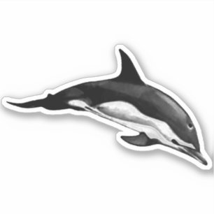 GEMENSAMT DOLFIN KLISTERMÄRKEN