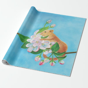 Gemensamt Dormus om blomning gren i äpple träd Presentpapper