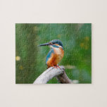 Gemensamt Kingfisher-fågelnaturen Pussel<br><div class="desc">Det här förbluffande pusslet har ett gemensamt Kingfisher sitta på gren #kingfisher #commonkingfisher #bird #animal #nature #gullet #födelsefödelsedag #helgdagar #helgdagar #christmas #ludder #vinge #sällsynt #festive #jigszle #puzzle #jigsawpuzzle #gifts #roligt #stockingstuffers #Spel #Spel #Spel #Spel #Spel #</div>