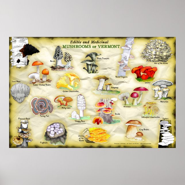 Gemensamt Namn Poster svampar av Vermont (Framsidan)
