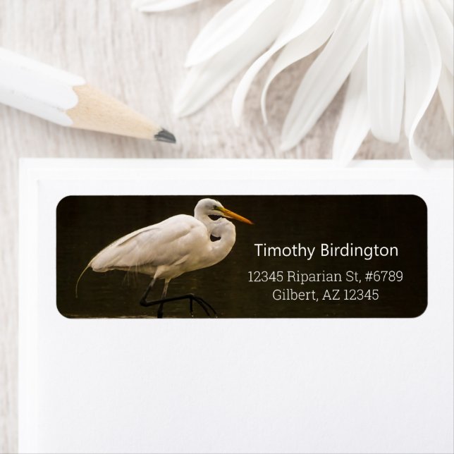 Gemensamt Underbart grå fågelreflexer i Vatten Returadress Etikett (Insitu)