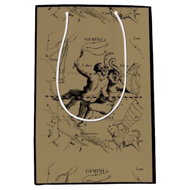 Gemini Constellation Hevelius 1690 May12-June20 (Framsidan)