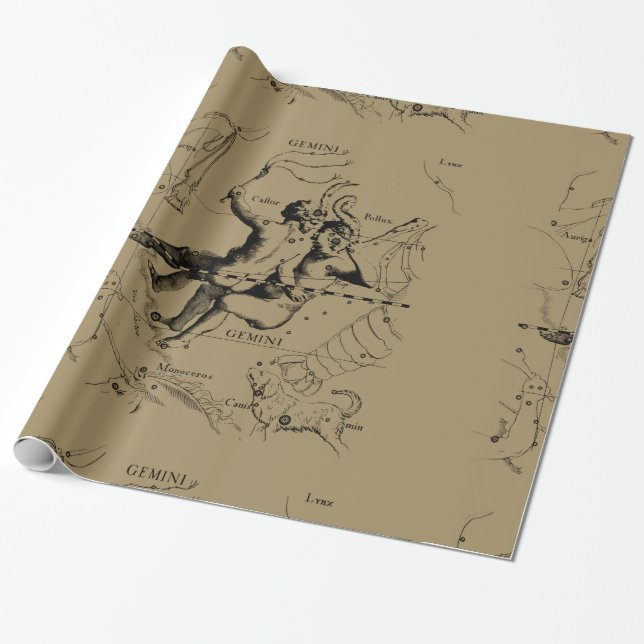 Gemini Constellation Zodiac Hevelius 1690 Presentpapper (Utrullad)